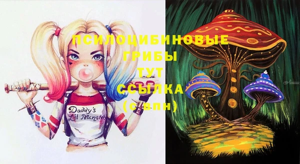 бутират Надым